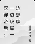 雙穿帝后：一邊破局一邊想家 封面