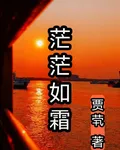 茫茫如霜 封面