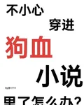 不小心穿進狗血小說裏了怎麼辦 封面