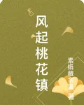 風起桃花鎮 封面
