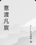 意渡凡宸 封面