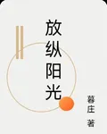 放縱陽光 封面
