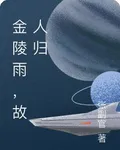 金陵雨，故人歸 封面