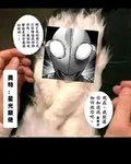 奧特：星光顛佬！ 封面