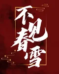 不見春雪 封面