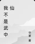 我不是武中仙 封面