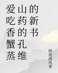 愛喫香蟹蒸山藥的孔維的新書 封面