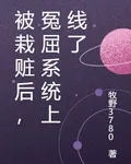 被栽贓後，冤屈系統上線了 封面