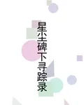 星塵碑下尋蹤錄 封面