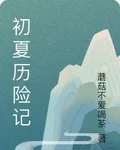初夏曆險記 封面