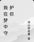 我在夢中守護你 封面