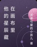 他的星辰藏在畫布裏 封面