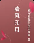 清風印月 封面