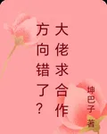 方向錯了？大佬求合作 封面