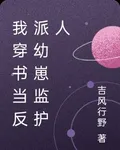 我穿書當反派幼崽監護人 封面