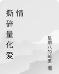 撕碎量化愛情 封面