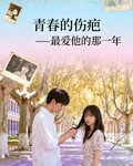 青春的傷疤一最愛他的那一年 封面
