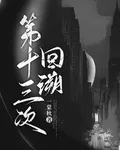 第十三次回溯 封面