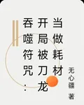 吞噬符咒：開局被刀龍當做耗材 封面