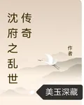 沈府之亂世傳奇 封面