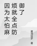 因爲太怕麻煩就全點防禦了 封面