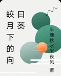 皎月下的向日葵 封面
