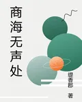 商海無聲處 封面