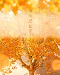 梧桐思秋意 封面