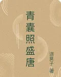 青囊照盛唐 封面