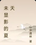 未顯影的夏天 封面