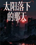 太陽落下的那天 封面