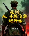 亮劍：從手搓飛雷炮開始 封面