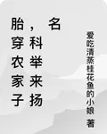 胎穿農家子，科舉來揚名 封面