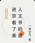 進京着了美人王爺的道 封面