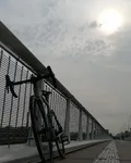 騎跡小男孩 封面