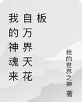 我的神魂來自萬界天花板 封面