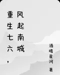 重生七六，風起南城 封面