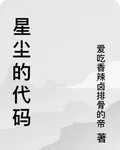 星塵的代碼 封面
