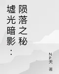墟光暗影：隕落之祕 封面