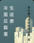 冷麪總裁重生追妻 封面