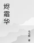 無燼霜華 封面