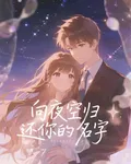 向夜空歸還你的名字 封面
