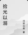 拾光以溺 封面
