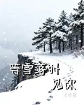 等雪落時見你 封面