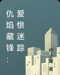 仇焰藏鋒：愛恨迷蹤 封面