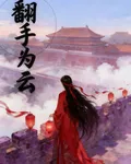 翻手爲雲覆手爲雨 封面