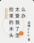 撿來的木頭太愛我了怎麼辦 封面