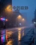 雨中的寂靜 封面