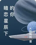 暗戀星辰下的你 封面