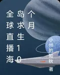 全球直播海島求生10個月 封面
